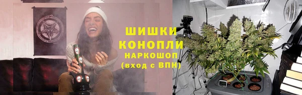 бошки Богданович